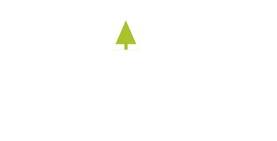 Besa Car