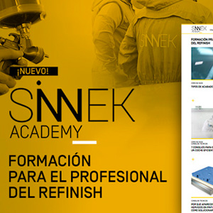 SINNEK ACADEMY